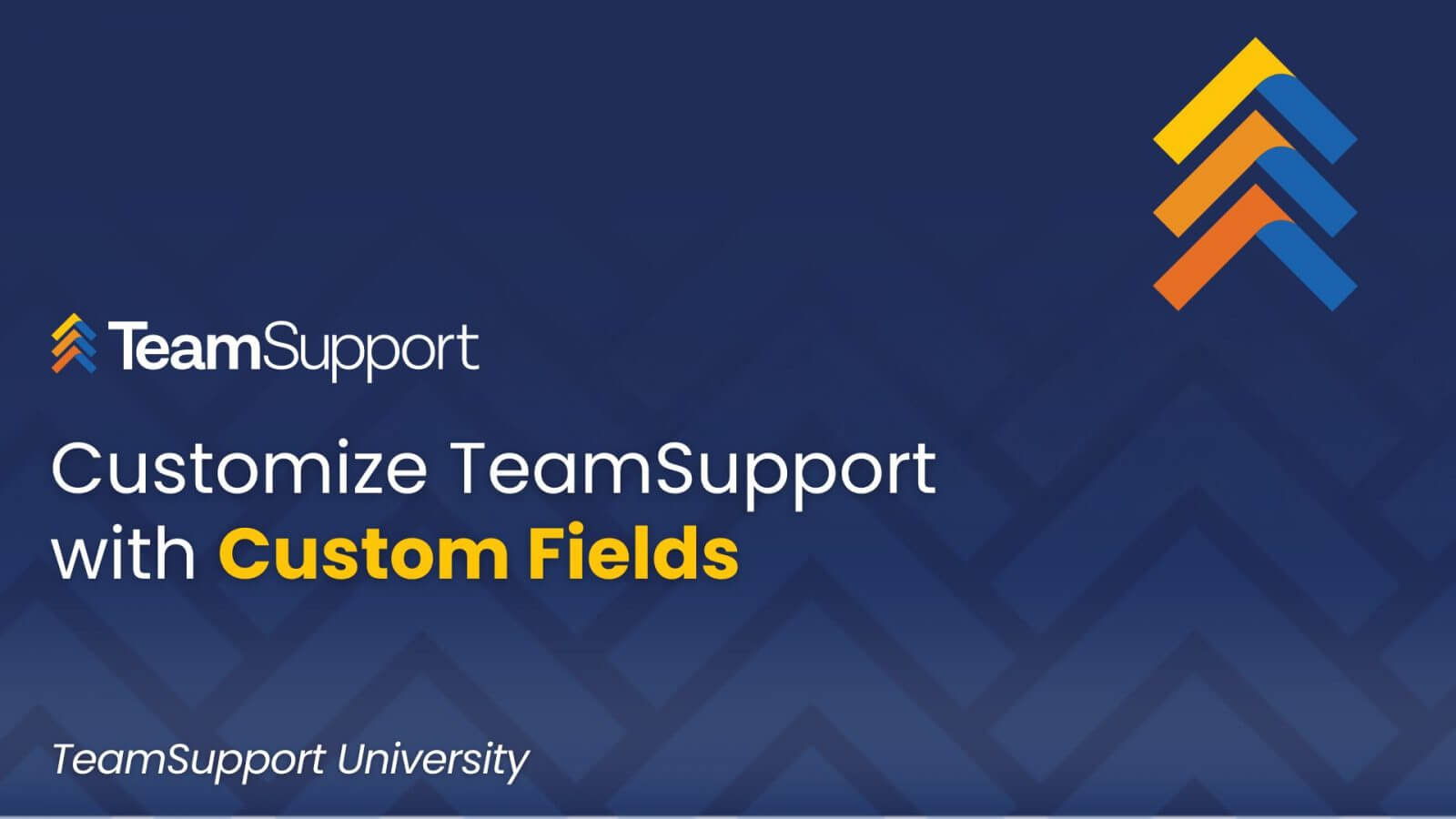 TeamSupport University: Global Ticket Custom Fields